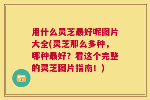 用什么灵芝最好呢图片大全(灵芝那么多种,哪种最好?看这个完整的灵芝图片指南!) 用什么灵芝最好呢图片大全(灵芝那么多种,哪种最好?看这个完整的灵芝图片指南!)