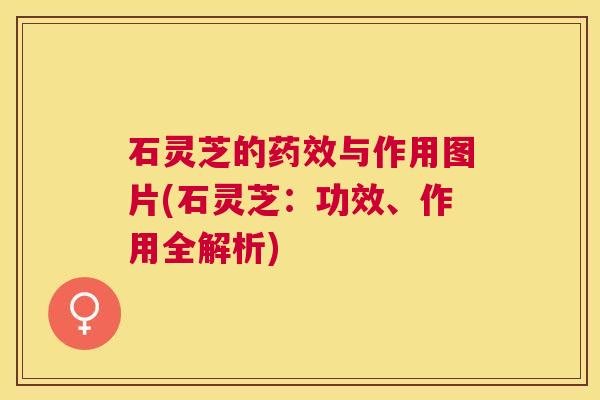 石灵芝的药效与作用图片(石灵芝:功效、作用全解析) 石灵芝的药效与作用图片(石灵芝:功效、作用全解析)