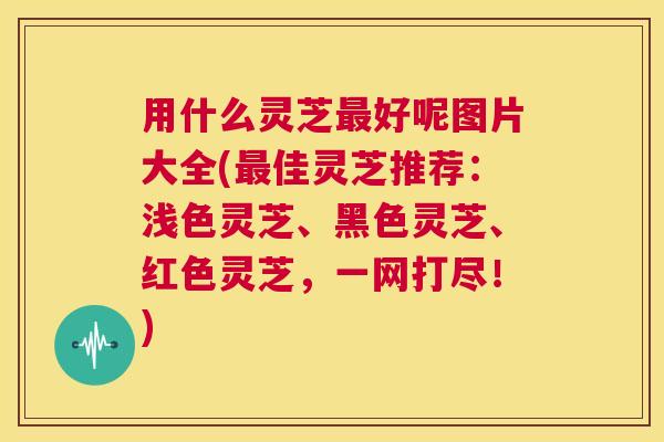 用什么灵芝最好呢图片大全(最佳灵芝推荐:浅色灵芝、黑色灵芝、红色灵芝,一网打尽!) 用什么灵芝最好呢图片大全(最佳灵芝推荐:浅色灵芝、黑色灵芝、红色灵芝,一网打尽!)