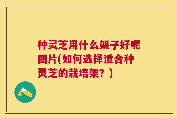 种灵芝用什么架子好呢图片(如何选择适合种灵芝的栽培架?) 种灵芝用什么架子好呢图片(如何选择适合种灵芝的栽培架?)