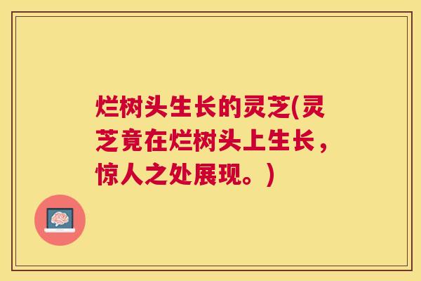 烂树头生长的灵芝(灵芝竟在烂树头上生长,惊人之处展现。) 烂树头生长的灵芝(灵芝竟在烂树头上生长,惊人之处展现。)