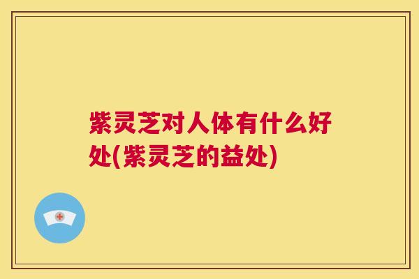 紫灵芝对人体有什么好处(紫灵芝的益处) 紫灵芝对人体有什么好处(紫灵芝的益处)