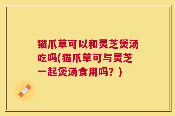 猫爪草可以和灵芝煲汤吃吗(猫爪草可与灵芝一起煲汤食用吗?) 猫爪草可以和灵芝煲汤吃吗(猫爪草可与灵芝一起煲汤食用吗?)