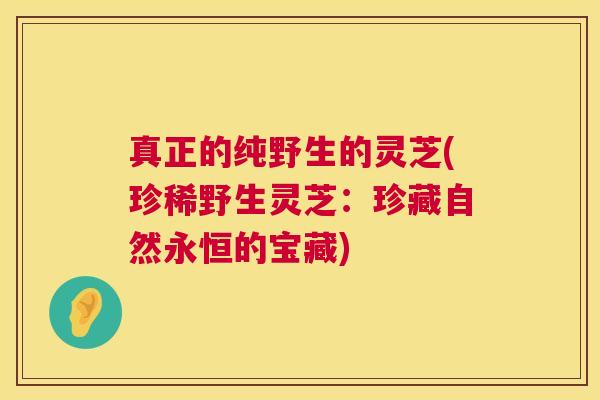真正的纯野生的灵芝(珍稀野生灵芝：珍藏自然永恒的宝藏)