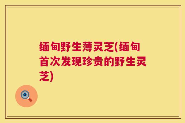 缅甸野生薄灵芝(缅甸首次发现珍贵的野生灵芝) 缅甸野生薄灵芝(缅甸首次发现珍贵的野生灵芝)