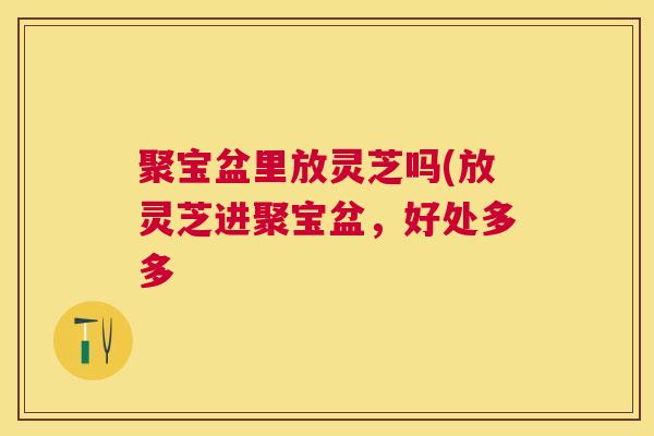 聚宝盆里放灵芝吗(放灵芝进聚宝盆,好处多多 聚宝盆里放灵芝吗(放灵芝进聚宝盆,好处多多