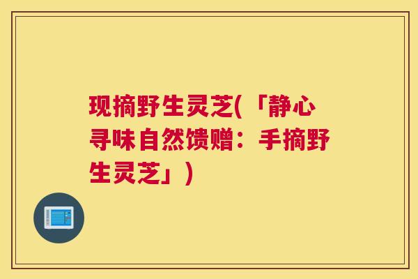 现摘野生灵芝(「静心寻味自然馈赠：手摘野生灵芝」)