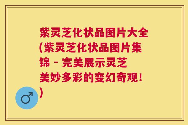 紫灵芝化状品图片大全(紫灵芝化状品图片集锦 - 完美展示灵芝美妙多彩的变幻奇观!) 紫灵芝化状品图片大全(紫灵芝化状品图片集锦 - 完美展示灵芝美妙多彩的变幻奇观!)