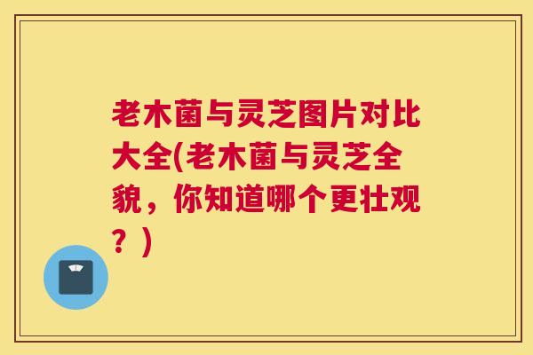老木菌与灵芝图片对比大全(老木菌与灵芝全貌,你知道哪个更壮观?) 老木菌与灵芝图片对比大全(老木菌与灵芝全貌,你知道哪个更壮观?)
