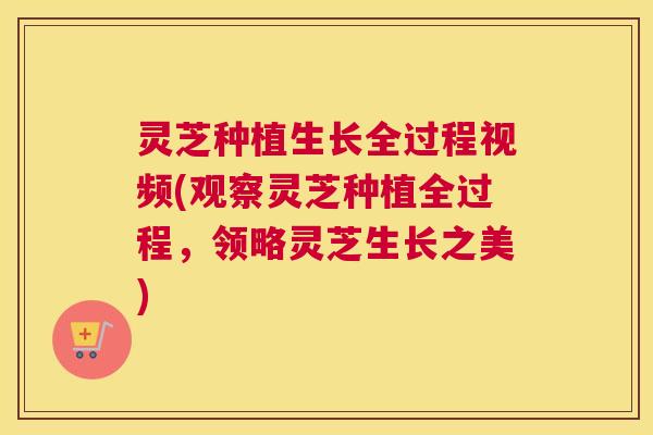 灵芝种植生长全过程视频(观察灵芝种植全过程,领略灵芝生长之美) 灵芝种植生长全过程视频(观察灵芝种植全过程,领略灵芝生长之美)