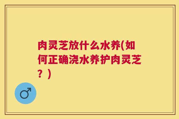 肉灵芝放什么水养(如何正确浇水养护肉灵芝?) 肉灵芝放什么水养(如何正确浇水养护肉灵芝?)