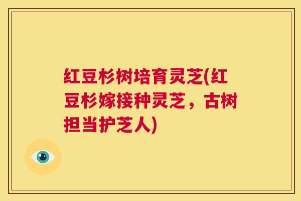 红豆杉树培育灵芝(红豆杉嫁接种灵芝,古树担当护芝人) 红豆杉树培育灵芝(红豆杉嫁接种灵芝,古树担当护芝人)