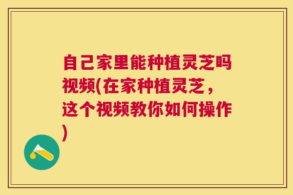 自己家里能种植灵芝吗视频(在家种植灵芝,这个视频教你如何操作) 自己家里能种植灵芝吗视频(在家种植灵芝,这个视频教你如何操作)