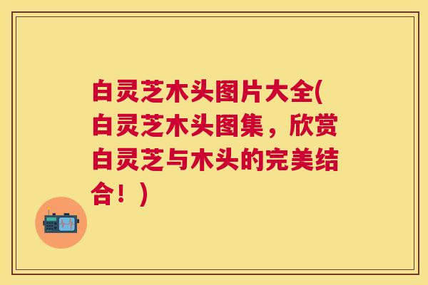 白灵芝木头图片大全(白灵芝木头图集，欣赏白灵芝与木头的完美结合！)