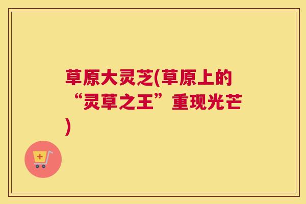 草原大灵芝(草原上的“灵草之王”重现光芒) 草原大灵芝(草原上的“灵草之王”重现光芒)
