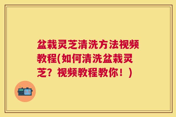 盆栽灵芝清洗方法视频教程(如何清洗盆栽灵芝?视频教程教你!) 盆栽灵芝清洗方法视频教程(如何清洗盆栽灵芝?视频教程教你!)