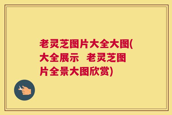 老灵芝图片大全大图(大全展示 老灵芝图片全景大图欣赏) 老灵芝图片大全大图(大全展示 老灵芝图片全景大图欣赏)