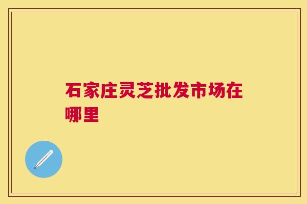 石家庄灵芝批发市场在哪里 石家庄灵芝批发市场在哪里