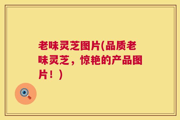 老味灵芝图片(品质老味灵芝,惊艳的产品图片!) 老味灵芝图片(品质老味灵芝,惊艳的产品图片!)