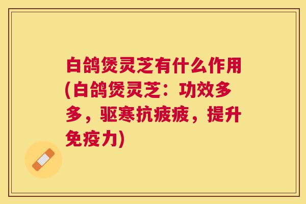 白鸽煲灵芝有什么作用(白鸽煲灵芝:功效多多,驱寒抗疲疲,提升免疫力) 白鸽煲灵芝有什么作用(白鸽煲灵芝:功效多多,驱寒抗疲疲,提升免疫力)