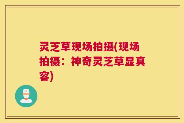 灵芝草现场拍摄(现场拍摄:神奇灵芝草显真容) 灵芝草现场拍摄(现场拍摄:神奇灵芝草显真容)