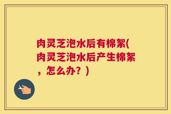 肉灵芝泡水后有棉絮(肉灵芝泡水后产生棉絮,怎么办?) 肉灵芝泡水后有棉絮(肉灵芝泡水后产生棉絮,怎么办?)