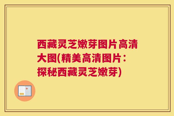 西藏灵芝嫩芽图片高清大图(精美高清图片:探秘西藏灵芝嫩芽) 西藏灵芝嫩芽图片高清大图(精美高清图片:探秘西藏灵芝嫩芽)