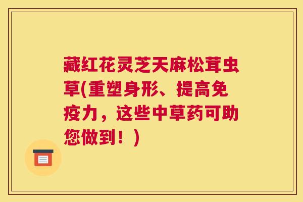 藏红花灵芝天麻松茸虫草(重塑身形、提高免疫力,这些中草药可助您做到!) 藏红花灵芝天麻松茸虫草(重塑身形、提高免疫力,这些中草药可助您做到!)