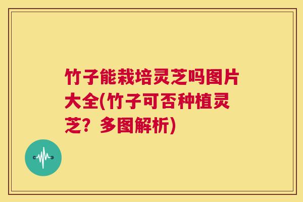 竹子能栽培灵芝吗图片大全(竹子可否种植灵芝?多图解析) 竹子能栽培灵芝吗图片大全(竹子可否种植灵芝?多图解析)