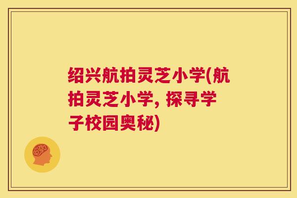 绍兴航拍灵芝小学(航拍灵芝小学, 探寻学子校园奥秘)