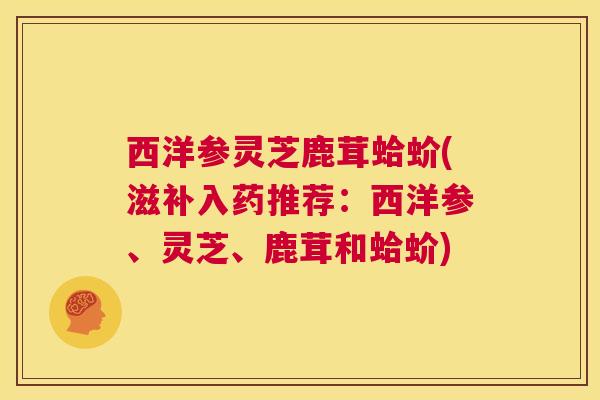 西洋参灵芝鹿茸蛤蚧(滋补入药推荐:西洋参、灵芝、鹿茸和蛤蚧) 西洋参灵芝鹿茸蛤蚧(滋补入药推荐:西洋参、灵芝、鹿茸和蛤蚧)