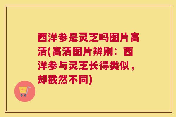 西洋参是灵芝吗图片高清(高清图片辨别：西洋参与灵芝长得类似，却截然不同)