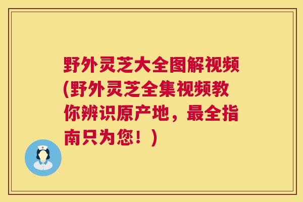 野外灵芝大全图解视频(野外灵芝全集视频教你辨识原产地,最全指南只为您!) 野外灵芝大全图解视频(野外灵芝全集视频教你辨识原产地,最全指南只为您!)
