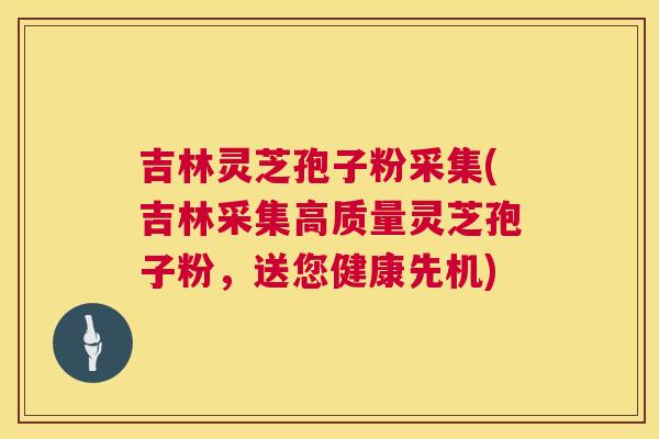 吉林灵芝孢子粉采集(吉林采集高质量灵芝孢子粉,送您健康先机) 吉林灵芝孢子粉采集(吉林采集高质量灵芝孢子粉,送您健康先机)