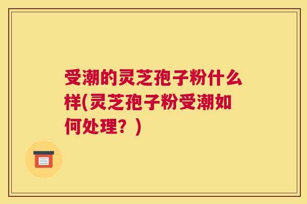 受潮的灵芝孢子粉什么样(灵芝孢子粉受潮如何处理?) 受潮的灵芝孢子粉什么样(灵芝孢子粉受潮如何处理?)