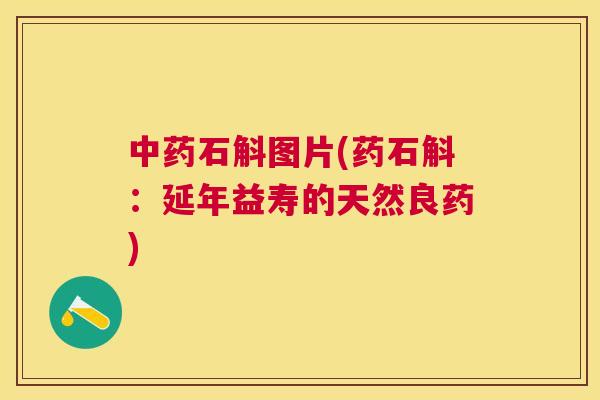 中药石斛图片(药石斛:延年益寿的天然良药) 中药石斛图片(药石斛:延年益寿的天然良药)