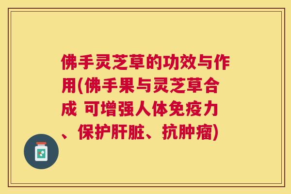 佛手灵芝草的功效与作用(佛手果与灵芝草合成 可增强人体免疫力、保护肝脏、抗肿瘤) 佛手灵芝草的功效与作用(佛手果与灵芝草合成 可增强人体免疫力、保护肝脏、抗肿瘤)