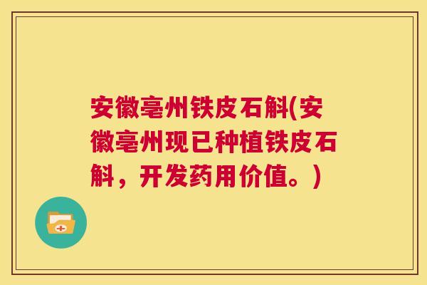 安徽亳州铁皮石斛(安徽亳州现已种植铁皮石斛,开发药用价值。) 安徽亳州铁皮石斛(安徽亳州现已种植铁皮石斛,开发药用价值。)