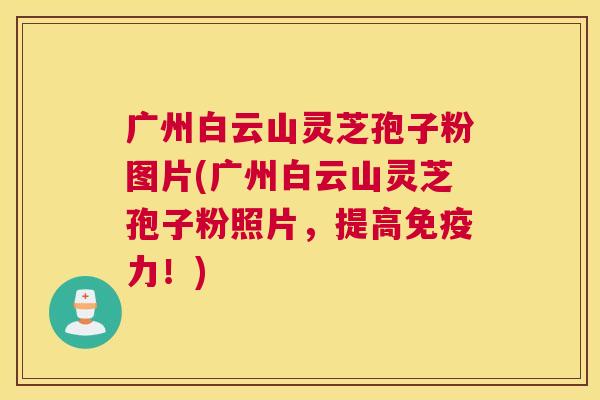 广州白云山灵芝孢子粉图片(广州白云山灵芝孢子粉照片,提高免疫力!) 广州白云山灵芝孢子粉图片(广州白云山灵芝孢子粉照片,提高免疫力!)