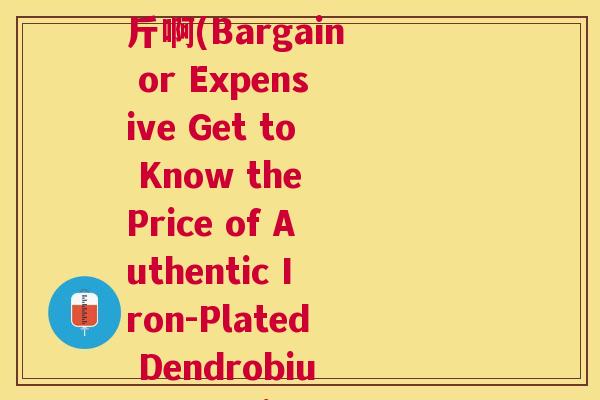 正宗铁皮石斛多少钱一斤啊(Bargain or Expensive Get to Know the Price of Authentic Iron-Plated Dendrobium Per Jin) 正宗铁皮石斛多少钱一斤啊(Bargain or Expensive Get to Know the Price of Authentic Iron-Plated Dendrobium Per Jin)