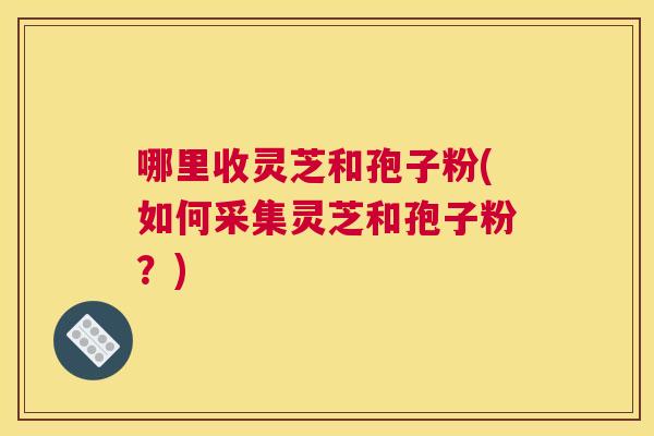 哪里收灵芝和孢子粉(如何采集灵芝和孢子粉?) 哪里收灵芝和孢子粉(如何采集灵芝和孢子粉?)