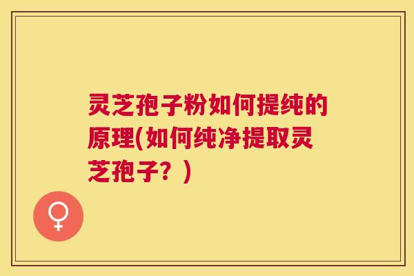 灵芝孢子粉如何提纯的原理(如何纯净提取灵芝孢子?) 灵芝孢子粉如何提纯的原理(如何纯净提取灵芝孢子?)