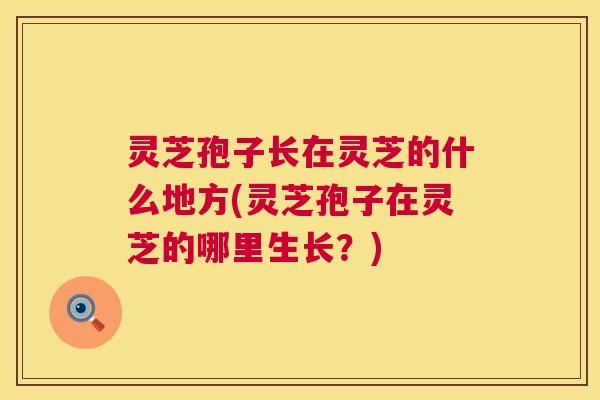 灵芝孢子长在灵芝的什么地方(灵芝孢子在灵芝的哪里生长?) 灵芝孢子长在灵芝的什么地方(灵芝孢子在灵芝的哪里生长?)