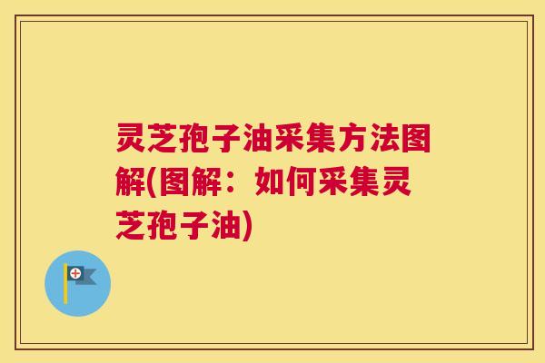 灵芝孢子油采集方法图解(图解:如何采集灵芝孢子油) 灵芝孢子油采集方法图解(图解:如何采集灵芝孢子油)