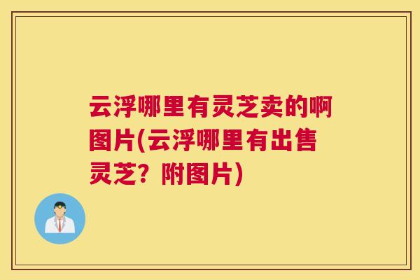 云浮哪里有灵芝卖的啊图片(云浮哪里有出售灵芝?附图片) 云浮哪里有灵芝卖的啊图片(云浮哪里有出售灵芝?附图片)