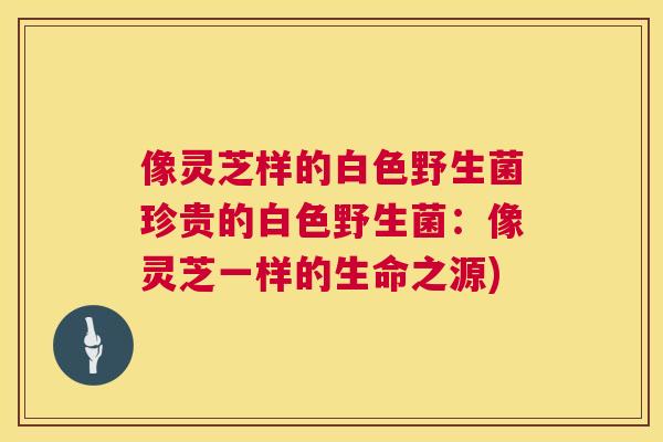 像灵芝样的白色野生菌珍贵的白色野生菌:像灵芝一样的生命之源) 像灵芝样的白色野生菌珍贵的白色野生菌:像灵芝一样的生命之源)