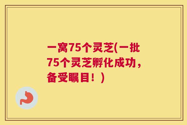 一窝75个灵芝(一批75个灵芝孵化成功,备受瞩目!) 一窝75个灵芝(一批75个灵芝孵化成功,备受瞩目!)
