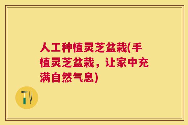 人工种植灵芝盆栽(手植灵芝盆栽,让家中充满自然气息) 人工种植灵芝盆栽(手植灵芝盆栽,让家中充满自然气息)