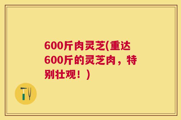 600斤肉灵芝(重达600斤的灵芝肉,特别壮观!) 600斤肉灵芝(重达600斤的灵芝肉,特别壮观!)