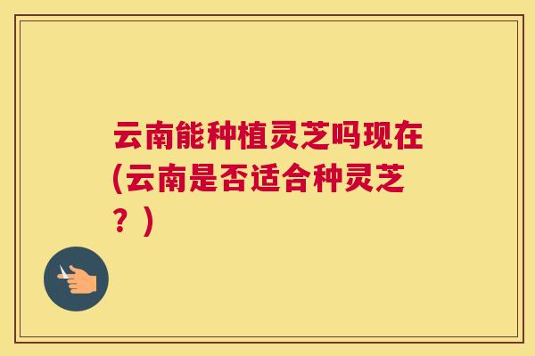 云南能种植灵芝吗现在(云南是否适合种灵芝?) 云南能种植灵芝吗现在(云南是否适合种灵芝?)